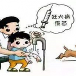 狂犬?。褐嫦?不恐狂