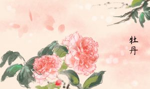 四月，牡丹花綻放|金迪克2022年4月優(yōu)秀質(zhì)量獎獲得者風(fēng)采展示